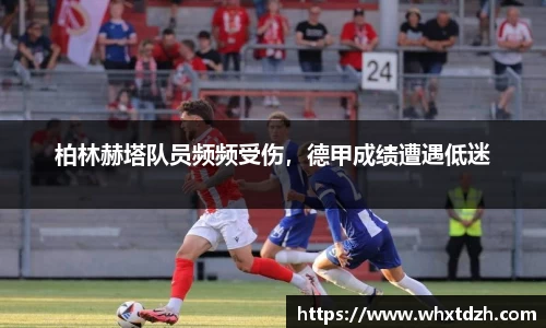 MILE米乐官网