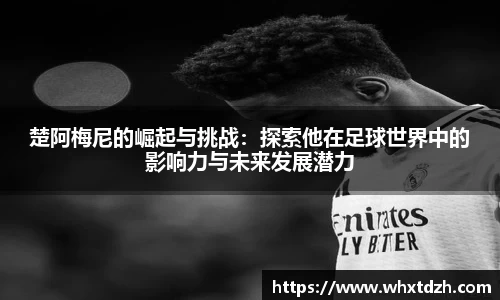 MILE米乐官网