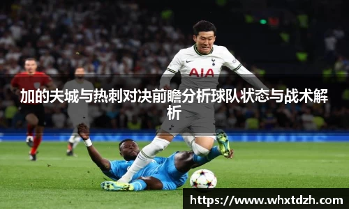 MILE米乐官方网站