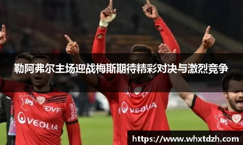MILE米乐官网
