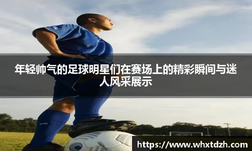 MILE米乐