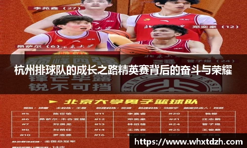 MILE米乐官网