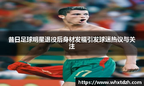 MILE米乐官方网站