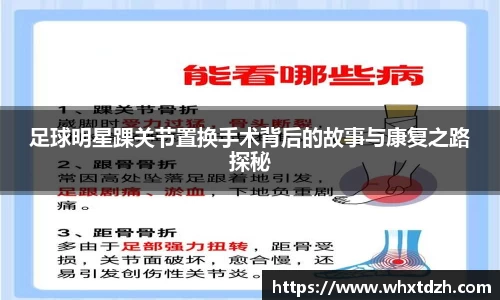 MILE米乐官方网站